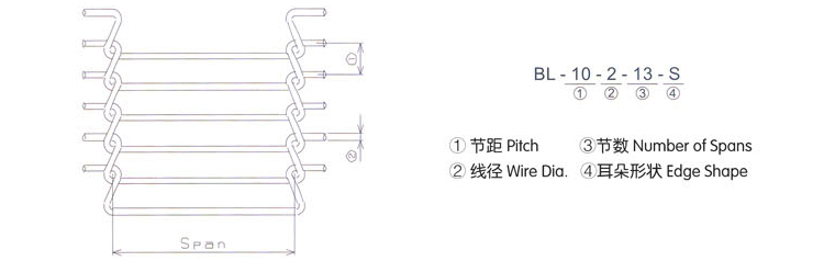 乙型網(wǎng)帶結構圖